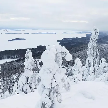 Kolin Kolo - Saunallinen Kaksio Apartment Koli (Lieksa)