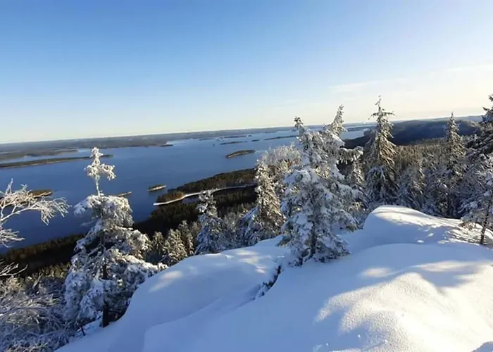 Kolin Kolo - Saunallinen Kaksio شقة Kolinkylä