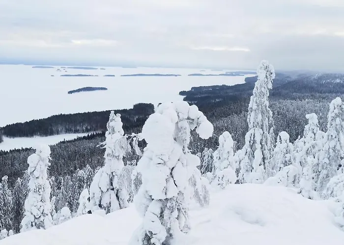 Kolin Kolo - Saunallinen Kaksio Appartement Kolinkylä